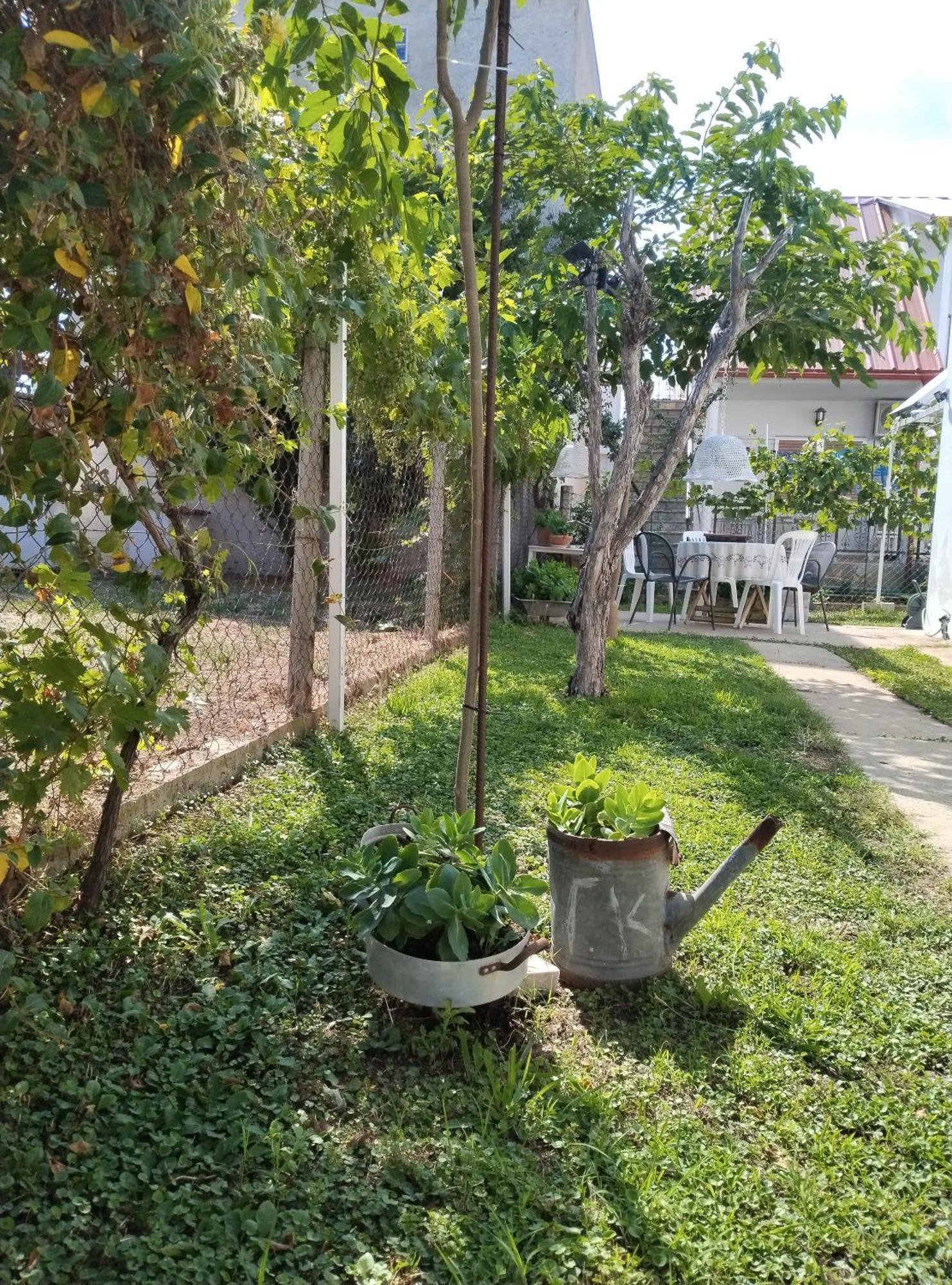 VrasnáΘαλασσινή Αυρα别墅 外观 照片